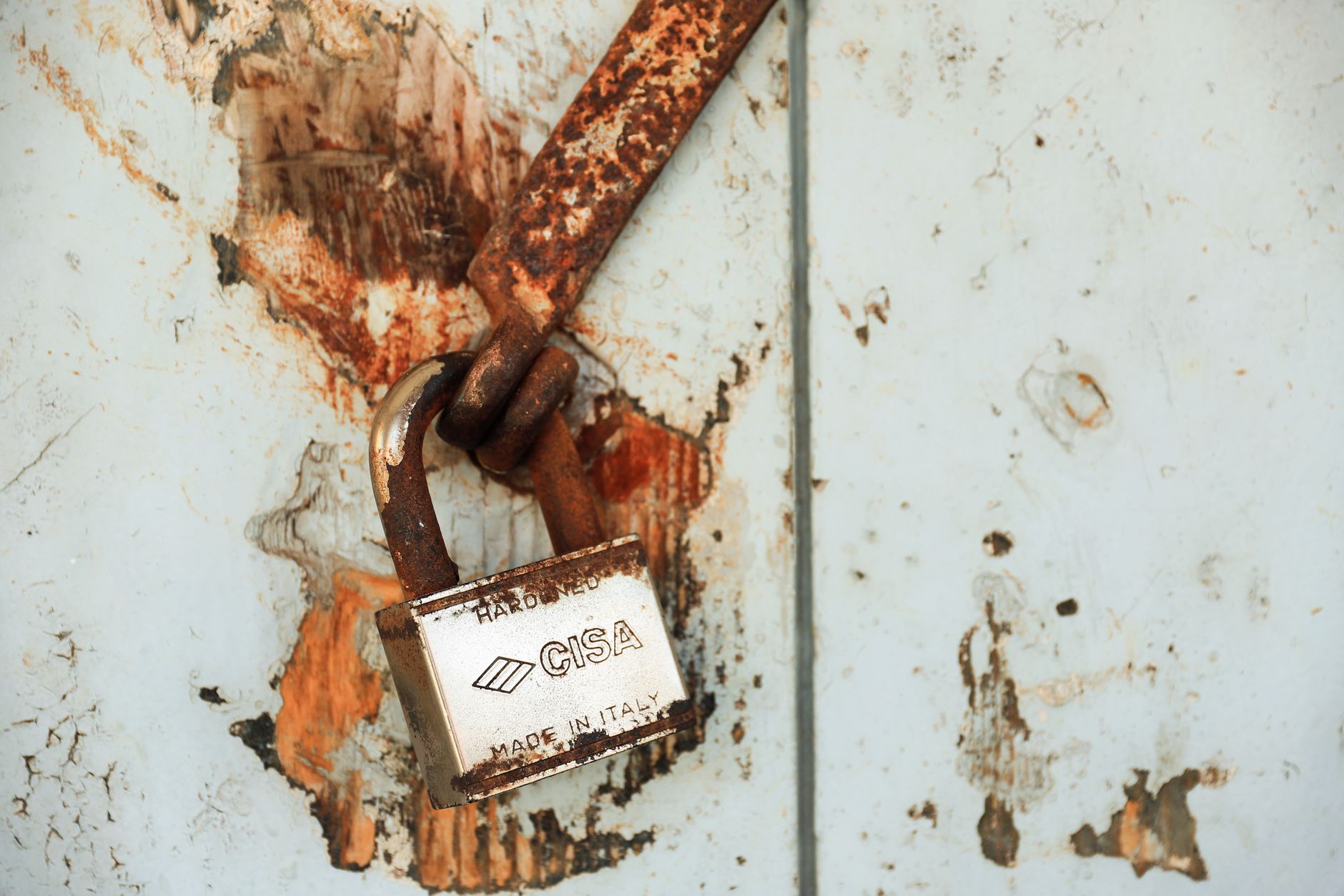 Certyfikat SSL darmowy – jak go uzyskać, wdrożyć i utrzymać - zdjecie w tresci